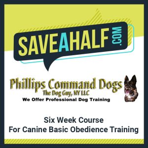 Phillips Command Dogs (Olean, NY)